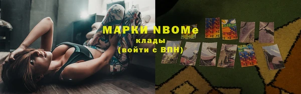 сатива Аркадак