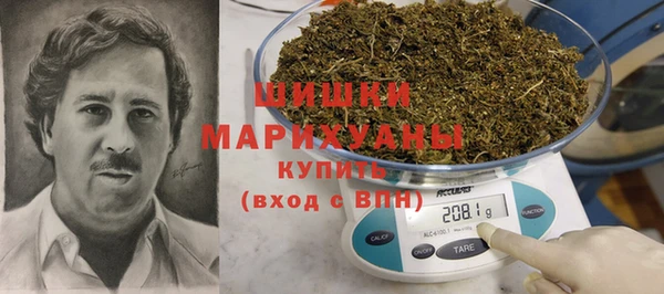 сатива Аркадак